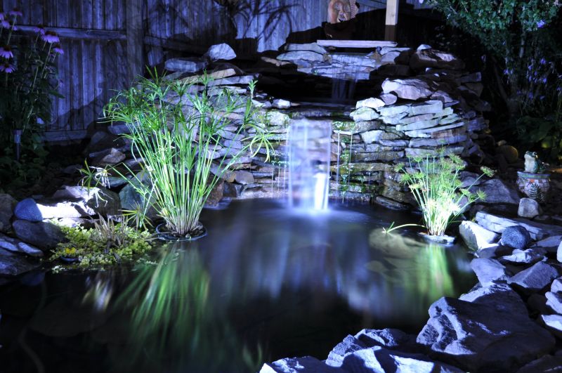 Garden Pond Installation