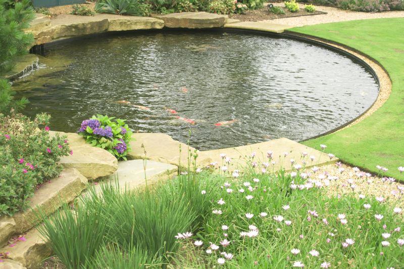 Koi Pond Construction
