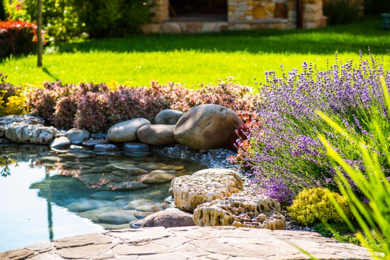 Pond Installation