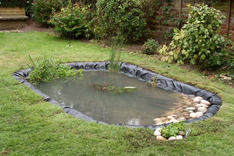 Small Pond Installation